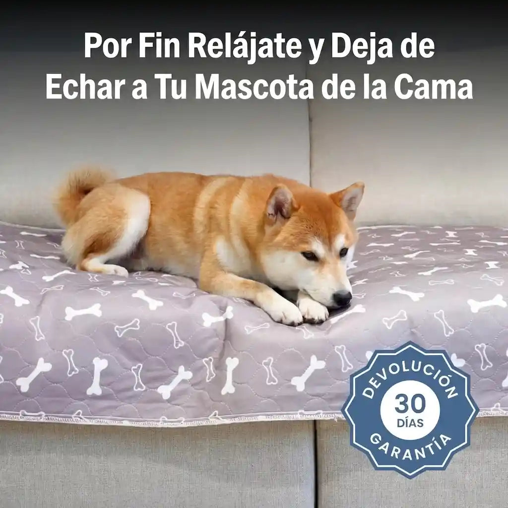 Empapador Reutilizable para Perros - MOVIO™