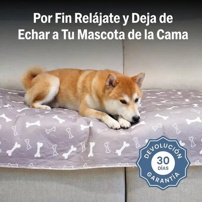 Empapador Reutilizable para Perros - MOVIO™