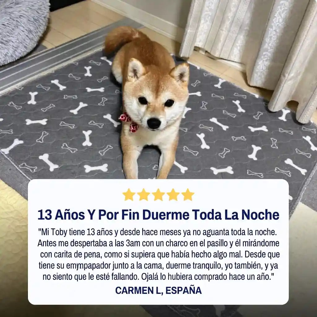 Empapador Reutilizable para Perros - MOVIO™